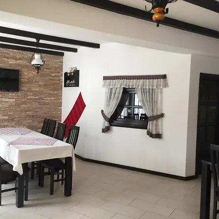 Pensiunea Rustic בית הארחה בורסא
