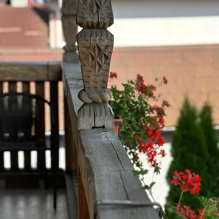 Pensiunea Rustic
