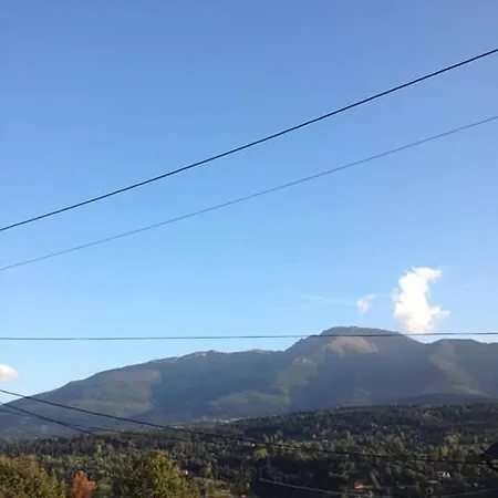Pensiunea Rustic Pensiune Borşa