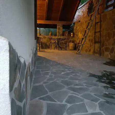 Pensiune Pensiunea Rustic Borşa