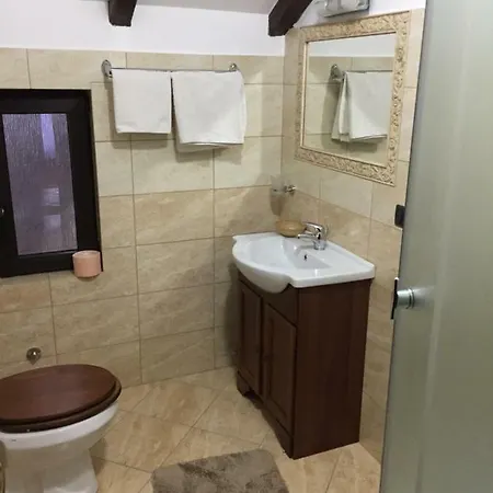 Pensiunea Rustic Pensiune Borşa