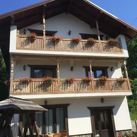 Pensiune Pensiunea Rustic Borşa
